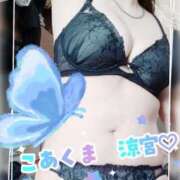 ヒメ日記 2026/02/20 12:08 投稿 涼宮 あいり こあくまな熟女たち高崎店(KOAKUMAグループ)