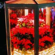 ヒメ日記 2025/06/30 03:31 投稿 けいこ 熟女の風俗最終章 宇都宮店