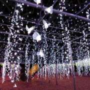 ヒメ日記 2025/07/02 17:51 投稿 けいこ 熟女の風俗最終章 宇都宮店