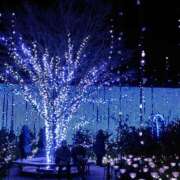 ヒメ日記 2025/07/07 16:02 投稿 けいこ 熟女の風俗最終章 宇都宮店