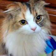 ヒメ日記 2025/07/08 04:31 投稿 けいこ 熟女の風俗最終章 宇都宮店