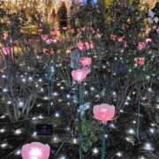 ヒメ日記 2025/07/11 16:11 投稿 けいこ 熟女の風俗最終章 宇都宮店