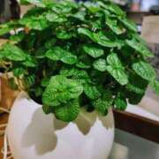 ヒメ日記 2025/07/14 16:40 投稿 けいこ 熟女の風俗最終章 宇都宮店