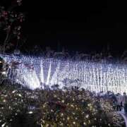 ヒメ日記 2025/07/19 22:11 投稿 けいこ 熟女の風俗最終章 宇都宮店