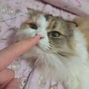 ヒメ日記 2025/08/02 21:12 投稿 けいこ 熟女の風俗最終章 宇都宮店