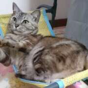 ヒメ日記 2025/08/03 06:03 投稿 けいこ 熟女の風俗最終章 宇都宮店