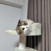 ヒメ日記 2025/08/17 05:11 投稿 けいこ 熟女の風俗最終章 宇都宮店