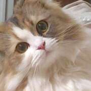 ヒメ日記 2025/08/22 03:41 投稿 けいこ 熟女の風俗最終章 宇都宮店