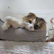 ヒメ日記 2025/08/28 03:31 投稿 けいこ 熟女の風俗最終章 宇都宮店