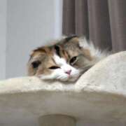 ヒメ日記 2025/08/30 04:01 投稿 けいこ 熟女の風俗最終章 宇都宮店