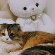 ヒメ日記 2025/09/11 03:51 投稿 けいこ 熟女の風俗最終章 宇都宮店