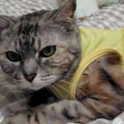 ヒメ日記 2025/09/16 09:02 投稿 けいこ 熟女の風俗最終章 宇都宮店