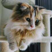 ヒメ日記 2025/09/24 05:01 投稿 けいこ 熟女の風俗最終章 宇都宮店