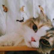 ヒメ日記 2025/09/27 06:41 投稿 けいこ 熟女の風俗最終章 宇都宮店