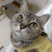 ヒメ日記 2025/09/30 08:11 投稿 けいこ 熟女の風俗最終章 宇都宮店