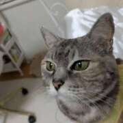 ヒメ日記 2025/10/03 05:51 投稿 けいこ 熟女の風俗最終章 宇都宮店