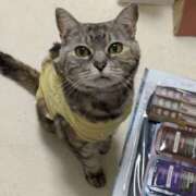 ヒメ日記 2025/10/14 15:01 投稿 けいこ 熟女の風俗最終章 宇都宮店