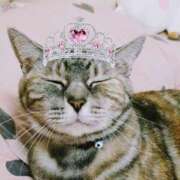 ヒメ日記 2025/10/16 15:11 投稿 けいこ 熟女の風俗最終章 宇都宮店