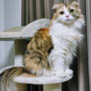 ヒメ日記 2025/10/17 15:31 投稿 けいこ 熟女の風俗最終章 宇都宮店