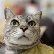 ヒメ日記 2025/10/23 01:51 投稿 けいこ 熟女の風俗最終章 宇都宮店