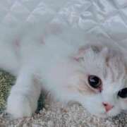 ヒメ日記 2025/10/30 03:31 投稿 けいこ 熟女の風俗最終章 宇都宮店