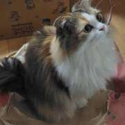 ヒメ日記 2025/11/01 08:21 投稿 けいこ 熟女の風俗最終章 宇都宮店