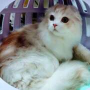 ヒメ日記 2025/11/13 04:41 投稿 けいこ 熟女の風俗最終章 宇都宮店