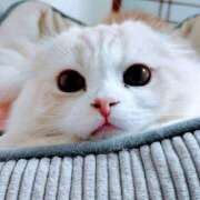 ヒメ日記 2025/11/29 16:34 投稿 けいこ 熟女の風俗最終章 宇都宮店