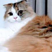 けいこ ありがとうございました😊 熟女の風俗最終章 宇都宮店