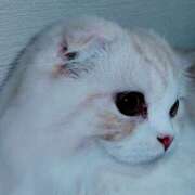 けいこ ありがとうございました😊 熟女の風俗最終章 宇都宮店