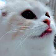 ヒメ日記 2025/12/13 06:31 投稿 けいこ 熟女の風俗最終章 宇都宮店