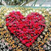 ヒメ日記 2025/12/18 03:11 投稿 けいこ 熟女の風俗最終章 宇都宮店