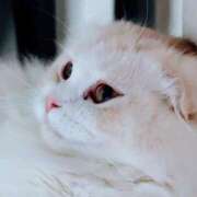 ヒメ日記 2025/12/20 09:41 投稿 けいこ 熟女の風俗最終章 宇都宮店