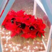 ヒメ日記 2025/12/23 10:02 投稿 けいこ 熟女の風俗最終章 宇都宮店