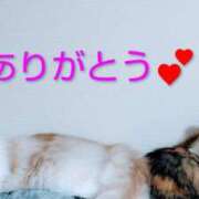 ヒメ日記 2025/12/30 03:31 投稿 けいこ 熟女の風俗最終章 宇都宮店