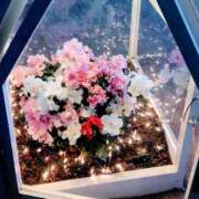 ヒメ日記 2025/12/30 16:36 投稿 けいこ 熟女の風俗最終章 宇都宮店