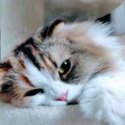 ヒメ日記 2026/01/01 23:51 投稿 けいこ 熟女の風俗最終章 宇都宮店