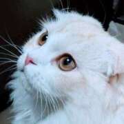 ヒメ日記 2026/01/11 06:01 投稿 けいこ 熟女の風俗最終章 宇都宮店