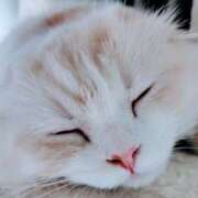 ヒメ日記 2026/01/15 05:11 投稿 けいこ 熟女の風俗最終章 宇都宮店