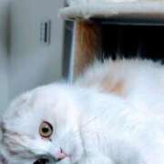 けいこ ありがとうございました😊 熟女の風俗最終章 宇都宮店