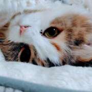 けいこ ありがとうございました😊 熟女の風俗最終章 宇都宮店