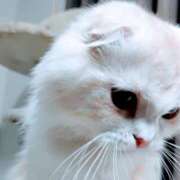 ヒメ日記 2026/01/27 17:31 投稿 けいこ 熟女の風俗最終章 宇都宮店