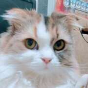 ヒメ日記 2026/01/28 05:11 投稿 けいこ 熟女の風俗最終章 宇都宮店