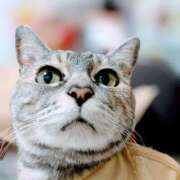 ヒメ日記 2026/01/29 05:11 投稿 けいこ 熟女の風俗最終章 宇都宮店