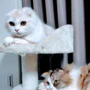 ヒメ日記 2026/01/31 05:31 投稿 けいこ 熟女の風俗最終章 宇都宮店