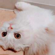 ヒメ日記 2026/02/01 07:31 投稿 けいこ 熟女の風俗最終章 宇都宮店