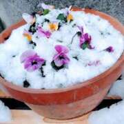 ヒメ日記 2026/02/09 05:11 投稿 けいこ 熟女の風俗最終章 宇都宮店