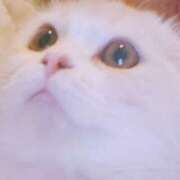 ヒメ日記 2026/02/12 03:11 投稿 けいこ 熟女の風俗最終章 宇都宮店