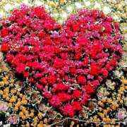 ヒメ日記 2026/02/15 05:51 投稿 けいこ 熟女の風俗最終章 宇都宮店