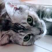 ヒメ日記 2026/02/20 16:51 投稿 けいこ 熟女の風俗最終章 宇都宮店